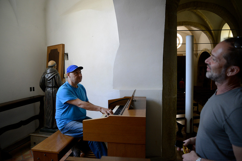 yair organ